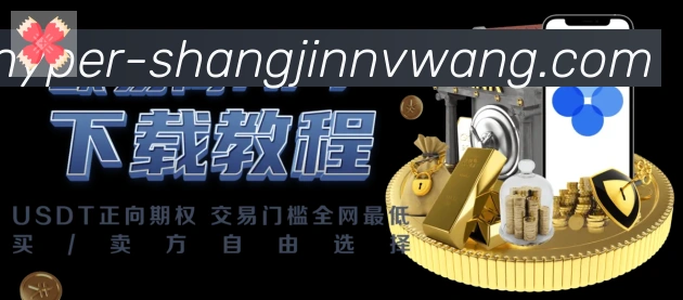 登录器